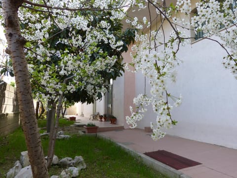 Lo Scrigno Apartment in Matera