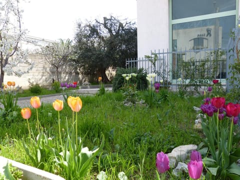 Lo Scrigno Apartment in Matera