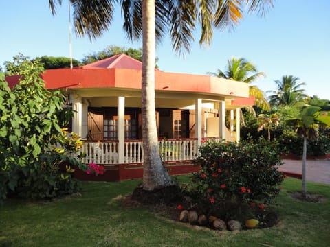 Garden, Balcony/Terrace, Garden view