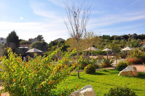 Garden, Pool view, Pool view