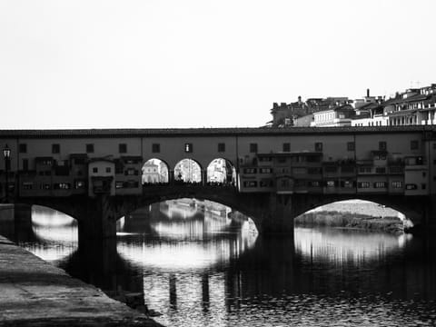 River Dream Apartment in Florence