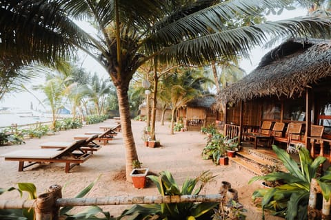 Mariposa Beach Grove Luxury tent in Agonda