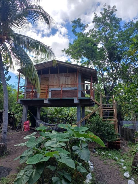 Cabañas Privadas Dilany Hostel in Nicaragua