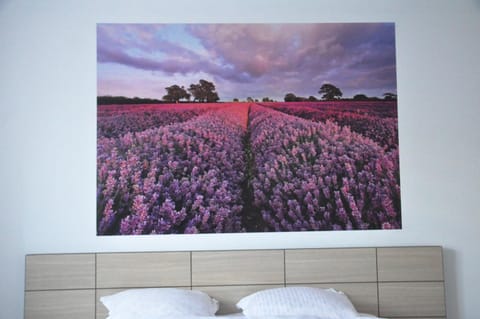 Bed, Photo of the whole room, Decorative detail