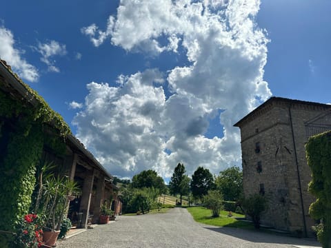 Inner courtyard view