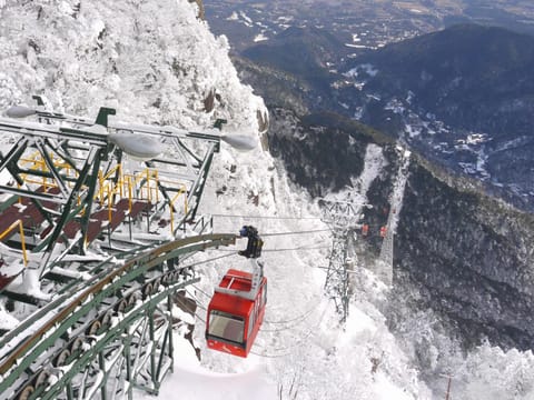 Natural landscape, Winter