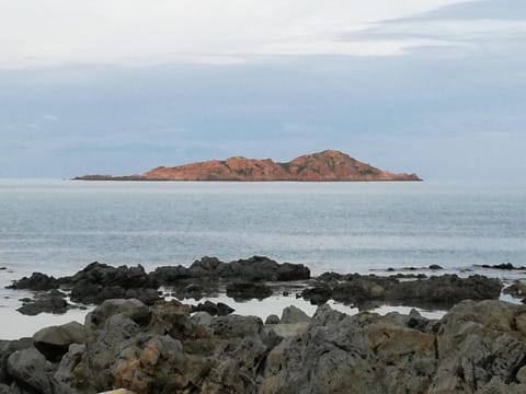 Le Rose Marine Condo in Isola Rossa