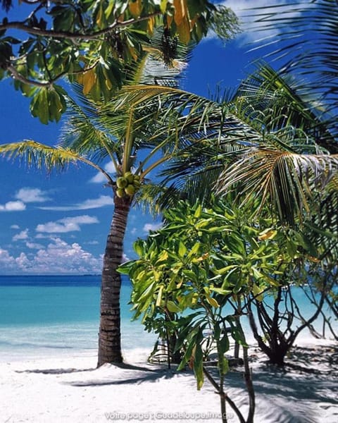 Nearby landmark, Beach