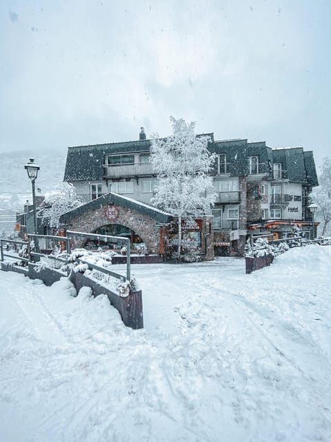 Property building, Neighbourhood, Winter, Skiing