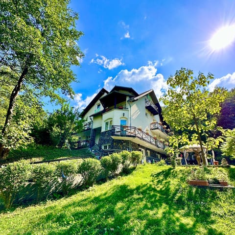 Property building, Natural landscape, Garden