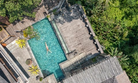 Garden, Pool view, Swimming pool