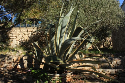 Location, children, Family