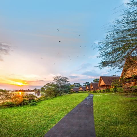 Nearby landmark, River view, Sunset