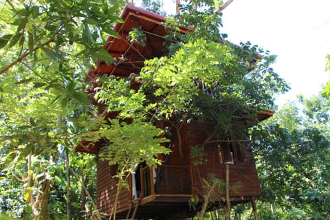Tree House-Midigama Chalet in Southern Province