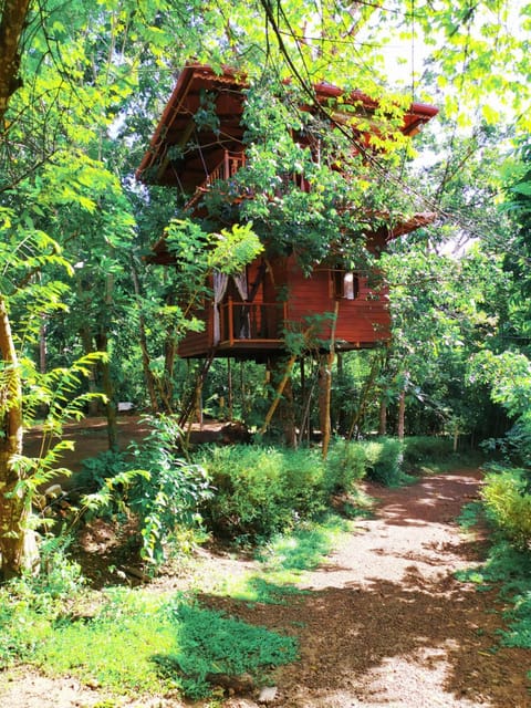 Tree House-Midigama Chalet in Southern Province