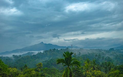 View (from property/room), Mountain view