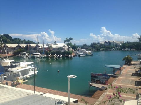 Patio, Staff, View (from property/room), Balcony/Terrace, Photo of the whole room, Dining area, Sea view, Family