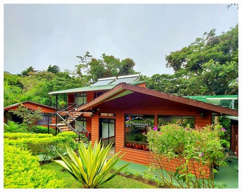 Dreams Lodge Nature lodge in Monteverde