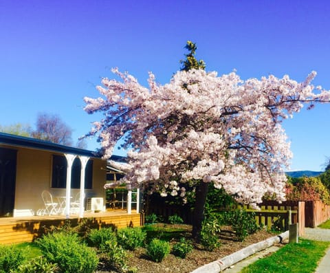 Spring, On site, Garden view