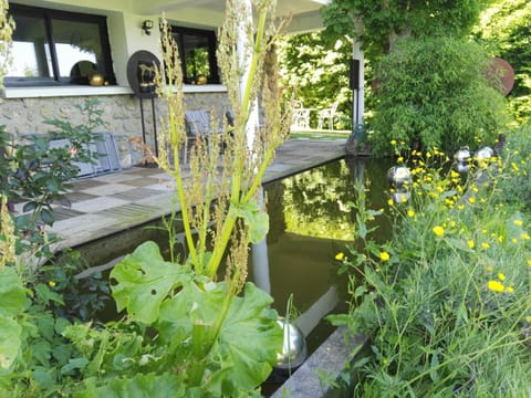 Patio, Garden