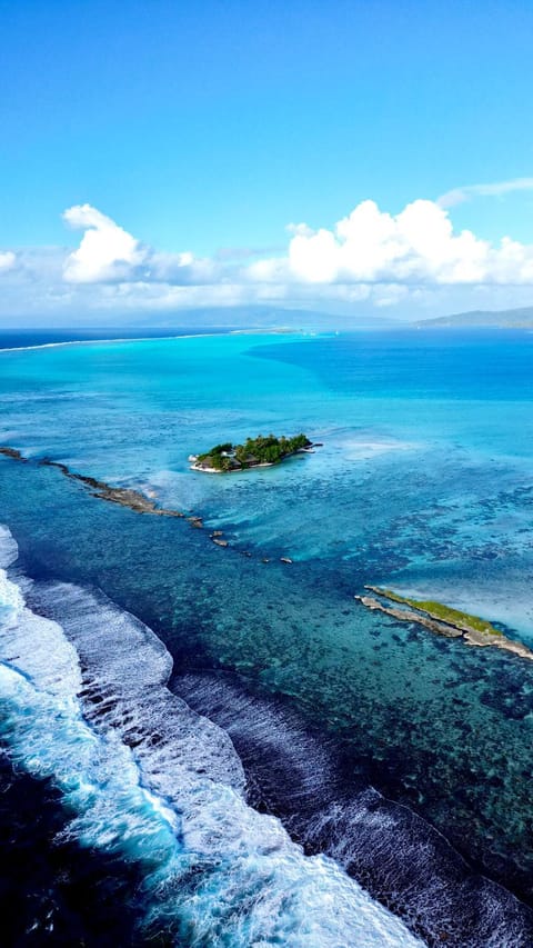 Bird's eye view, View (from property/room)