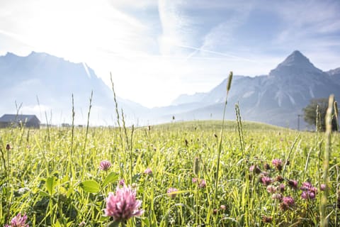 Natural landscape, View (from property/room)
