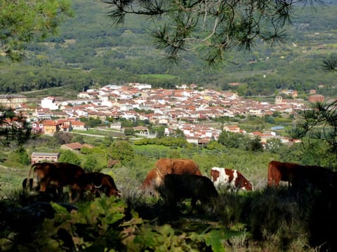 Apartamentos Rurales Entre Fuentes Apartment in Valle del Jerte