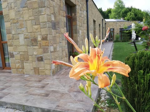 Patio, Garden, Balcony/Terrace