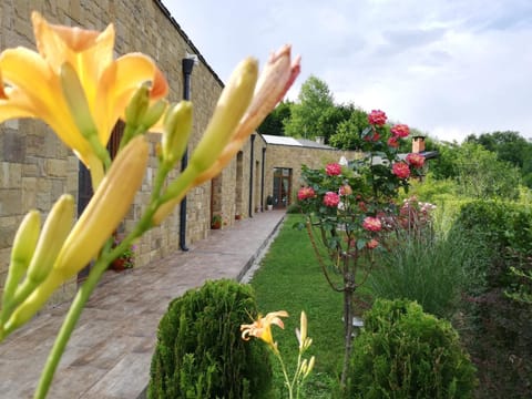 Patio, Garden, Balcony/Terrace