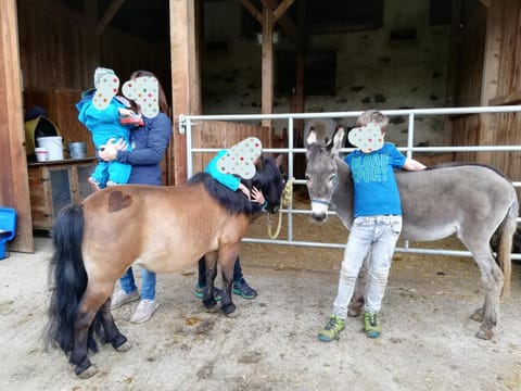 People, Horse-riding, Animals, children, group of guests