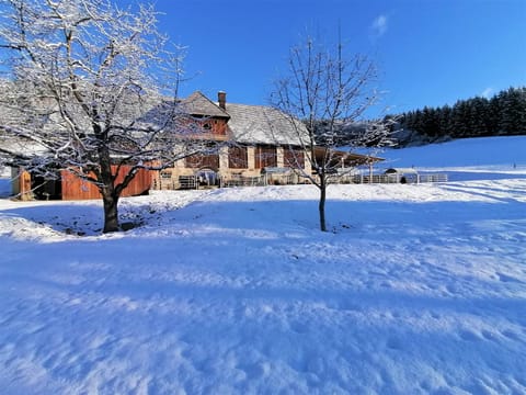 Property building, Winter, Animals