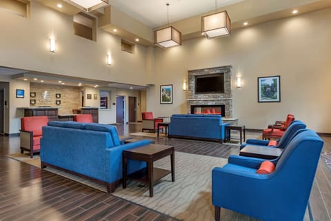 Comfort Inn & Suites Near Mt Rushmore Hôtel in Hill City