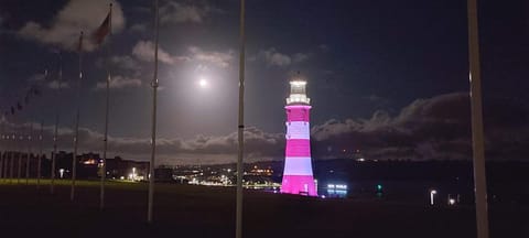 The Kynance House on Plymouth Hoe ,26 Ensuite Rooms Hotel in Plymouth