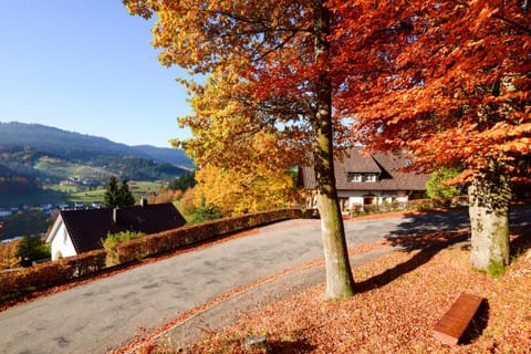 Café Pension Waldfrieden Apartment in Ortenau