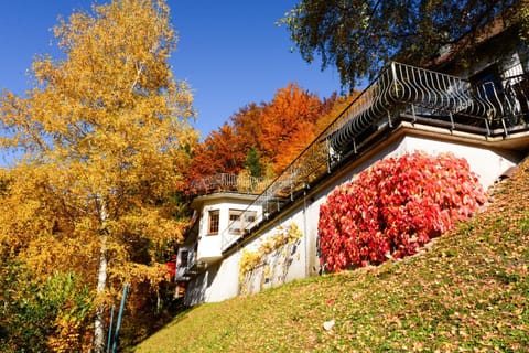 Café Pension Waldfrieden Apartment in Ortenau