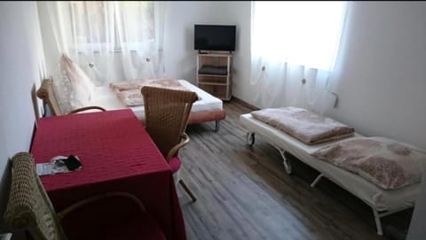 Casa Helvetia Apartment in Ortenau