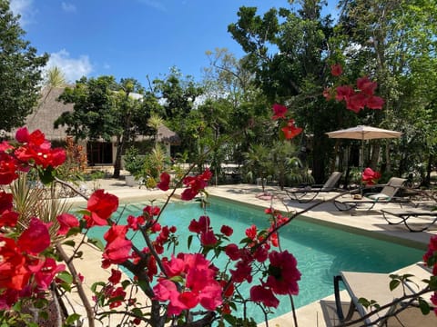 Pool view, Swimming pool