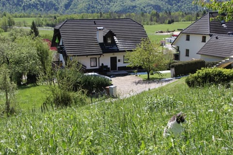 Property building, Bird's eye view