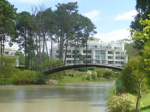 Property building, Natural landscape