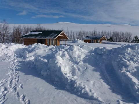 Miðhvammur Farm Stay Estancia en una granja in Northeastern Region