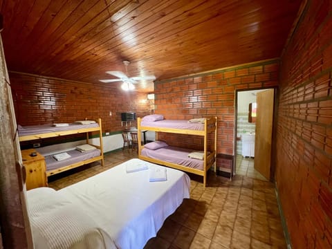 Photo of the whole room, Bedroom, bunk bed