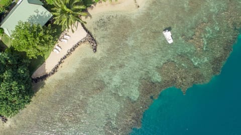 Bird's eye view, Beach, On site