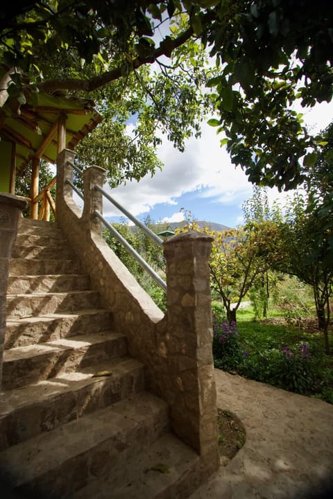 Spring, Day, Natural landscape, Garden, Garden view, Mountain view