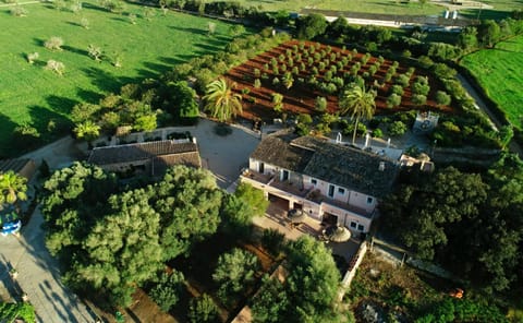 Agroturismo Fincahotel Son Pou Soggiorno in fattoria in Pla de Mallorca