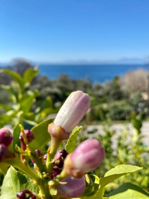 Natural landscape, Sea view