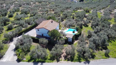 Property building, Day, Natural landscape, Bird's eye view, Pool view, Swimming pool