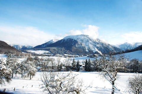 Dammerer Hof inkl. Chiemgaukarte Apartment in Ruhpolding