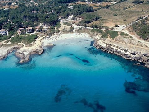 Bird's eye view, Beach