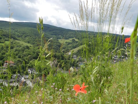 Hiking