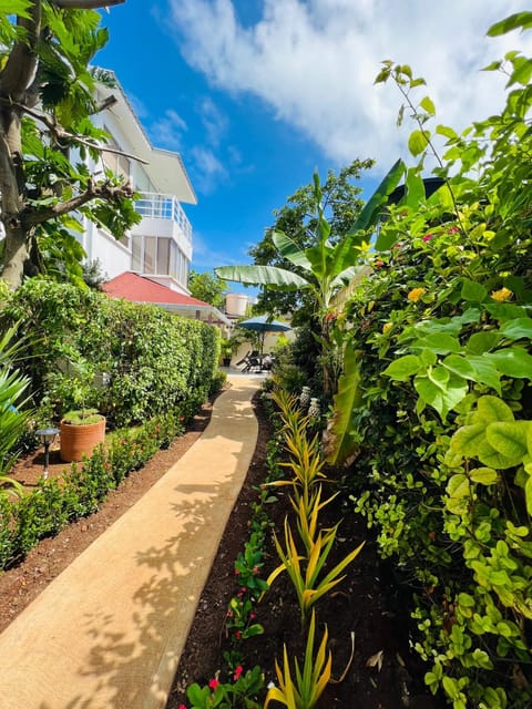 Property building, Garden view